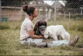 Logo CaraCanem Hundetraining