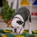 Bianca-B.Photography