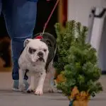 Bianca-B.Photography