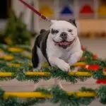 Bianca-B.Photography