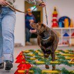 Bianca-B.Photography