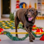 Bianca-B.Photography