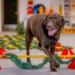 Bianca-B.Photography