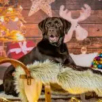 Bianca-B.Photography