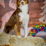 Bianca-B.Photography