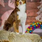 Bianca-B.Photography