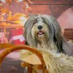 Bianca-B.Photography