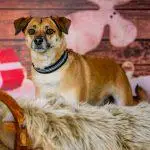 Bianca-B.Photography