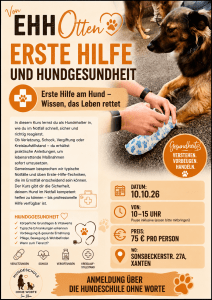 Erste Hilfe Hund