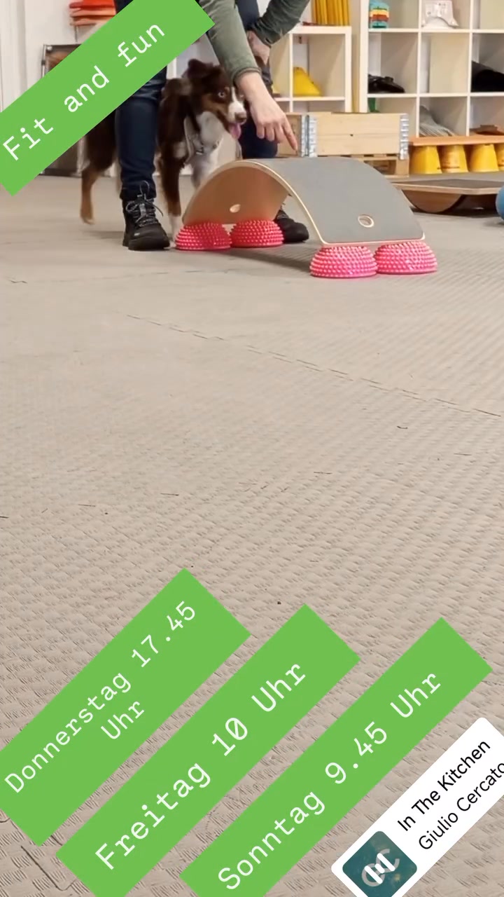 Hundeschule Ohne Worte