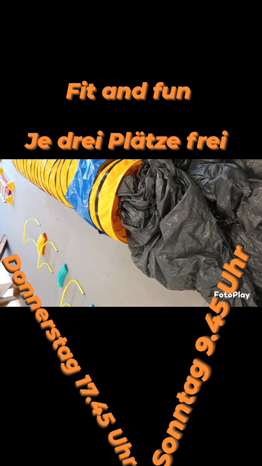 Hundeschule Ohne Worte