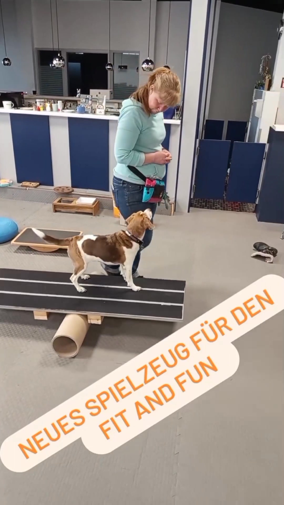 Hundeschule Ohne Worte