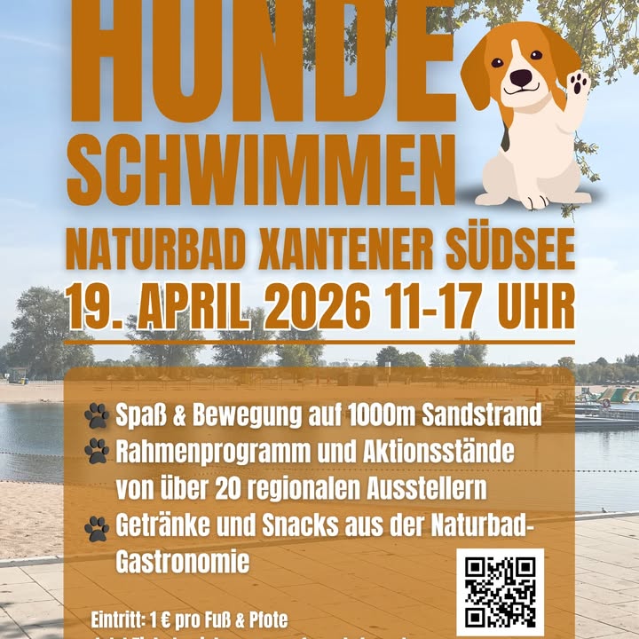 Hundeschule Ohne Worte