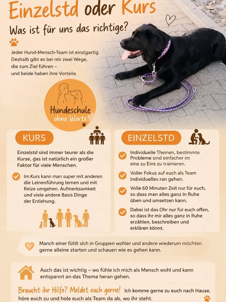 Hundeschule Ohne Worte